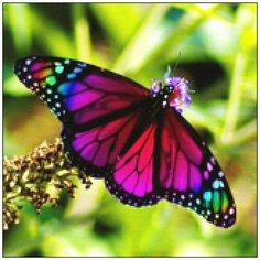 Алмазная мозаика Алмазная Фея A-0200. Чудеса природы