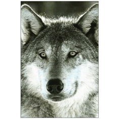 Алмазная мозаика Алмазная Фея A-0112. A-0112