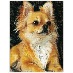 Алмазная мозаика Алмазная Фея A-0351. Чихуахуа