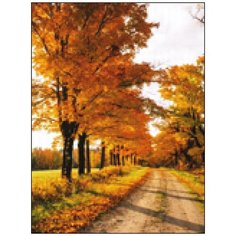 Алмазная мозаика Алмазная Фея A-0156. A-0156