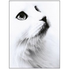 Алмазная мозаика Алмазная Фея A-0317. Снежок