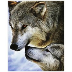 Алмазная мозаика Алмазная Фея A-0183. Волчья верность