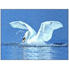 Алмазная мозаика Алмазная Фея A-0176. Раскинув крылья