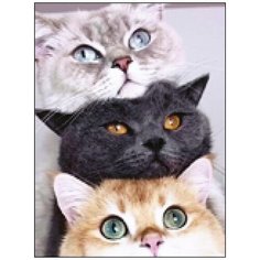 Алмазная мозаика Алмазная Фея A-0321. Сытые котики