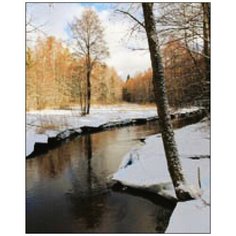 Алмазная мозаика Алмазная Фея A-0386. Начало весны