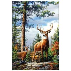 Алмазная мозаика Алмазная Фея A-0153 (40x60). A-0153