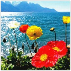 Алмазная мозаика Алмазная Фея A-0201. Дикорастущие маки