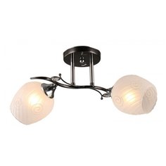 Люстра потолочная A2240/2 CH Borten