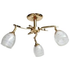 Люстра потолочная N2870/3A Borten