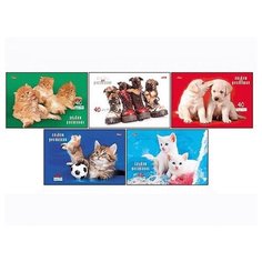 Альбом д/рис. 40л. А4 на спирали "Любимцы" с перф. на отрыв. 5 видов 40А4Всп 12707 004142 Hatber