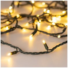 Светодиодная гирлянда ARD-STRING-PRO-1000-GREEN-100LED-PULSE Warm (230V, 7W) (Ardecoled, IP65) Arlight