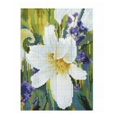 Алмазная мозаика на подрамнике 20*25 см Белоснежка 537-ST-S Лилия