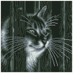 Алмазная мозаика на подрамнике ТМ Белоснежка "Любопытный сосед", 30X30 см.