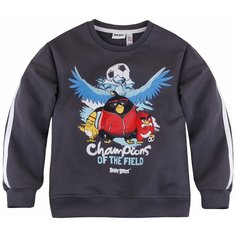 Свитшот Bossa Nova Angry Birds размер 110, серый