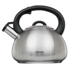 Чайник для плиты Nadoba Virgaa серебристый