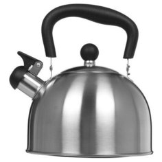 Чайник для плиты Aceline TS серебристый