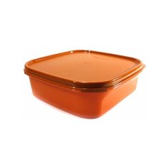 Контейнер «Компакт» (1,1 л) Tupperware