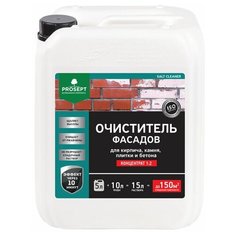 PROSEPT SALT CLEANER — Удалитель высолов, концентрат 1:2 5л.