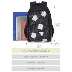 RD-143-1 Рюкзак (черный) Grizzly