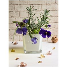 Ваза для цветов KWADRAT PRESS ECRU 10 см Solbika