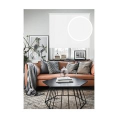 Рулонные шторы "Plain", белый 43х160 см Эскар