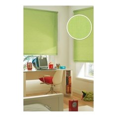 Рулонная штора, Салатовый 120х170 см Эскар