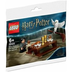 Конструктор LEGO Harry Potter 30420 Harry Potter and Hedwig, Гарри Поттер и Букля