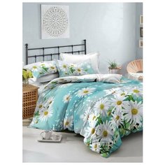 КПБ евро, Макосатин, Amore Mio BZ QR Daisy