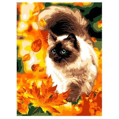 Картина по номерам Осенний пушистик 40*30 см Lori