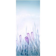 Самоклеящиеся фотообои Doorfix, D044, 95х220см