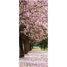 Самоклеящиеся фотообои Doorfix, D043, 95х220см