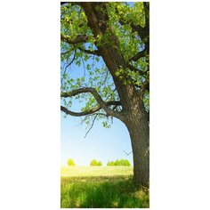 Самоклеящиеся фотообои Doorfix, D042, 95х220см