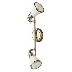 Спот на штанге A9231AP-2AB (Artelamp)