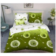 Комплект постельного белья 2,0 СП «Василиса» Бязь 3413/1