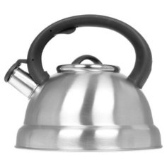 Чайник для плиты Aceline TS серебристый