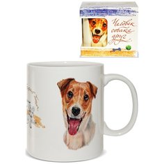 Кружка PrioritY из костяного фарфора в подарочной упаковке «Человек собаке друг» Джек-рассел 420 мл.