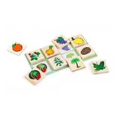 Лото Растительный мир Томик