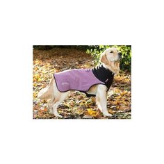 Попона согревающая SCRUFFS "Thermal", фиолетовая, 60см (Великобритания)