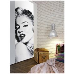 Фотообои/ Мерлин / 1 х 2,8 м (Ш х В) Youwall