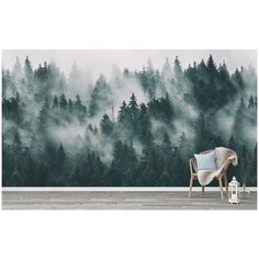 N00305 Фотообои Флизелиновые с виниловым покрытием Природа "Туманный лес" 500х270 см Barton Wallpapers