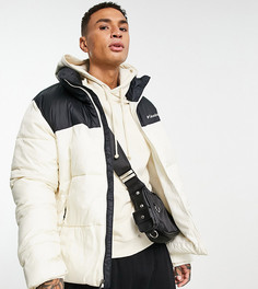 Черно-бежевая куртка Columbia Puffect – эксклюзивно для ASOS-Черный цвет