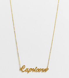 Цепочка с позолотой 14 карат и подвеской в виде надписи "Capricorn" ASOS DESIGN-Золотистый