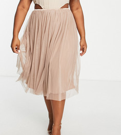 Серо-коричневая юбка миди из тюля Lace & Beads Plus-Светло-бежевый цвет