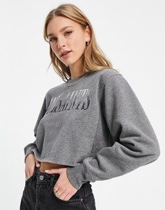 Серый укороченный свитшот с логотипом с эффектом металлик AllSaints