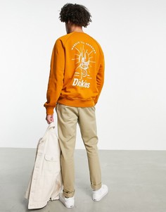 Свитшот оранжевого цвета с принтом на спине Dickies Bettles-Оранжевый цвет