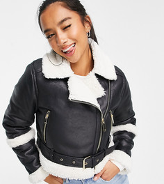 Черная укороченная куртка авиатор с отделкой из овчины Miss Selfridge Petite-Черный цвет