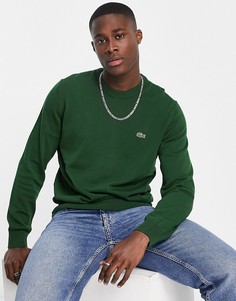 Зеленый трикотажный джемпер с круглым вырезом и логотипом Lacoste-Зеленый цвет