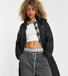 Черный длинный пуховик Dickies Atlanta – эксклюзивно для ASOS-Черный цвет