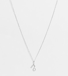 Серебряное ожерелье с подвеской в виде дракона ASOS DESIGN-Серебристый