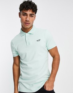 Футболка-поло из пике мятного цвета с логотипом Hollister-Зеленый цвет